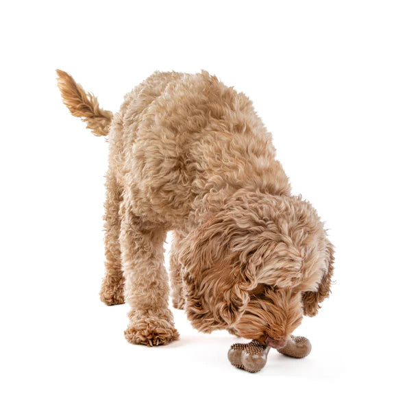 Guru Chew Bone Dog Toy