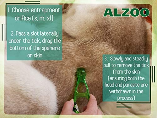 Alzoo Exitick Transparent Tick Remover