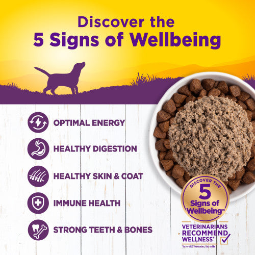 Wellness Complete Health Chicken & Sweet Potato Formula Canned Dog Food