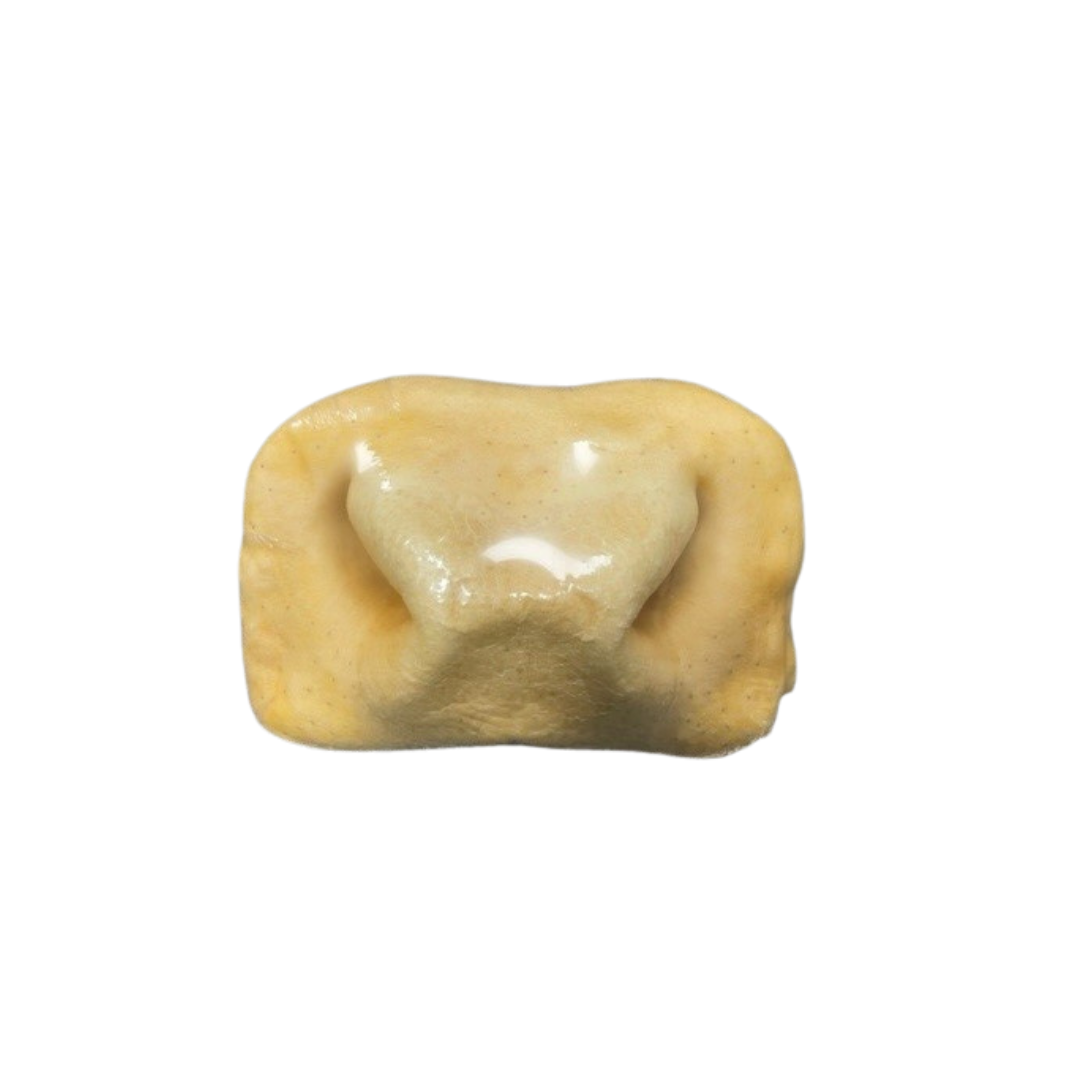 Incredipet Beef Snout Dog Chew
