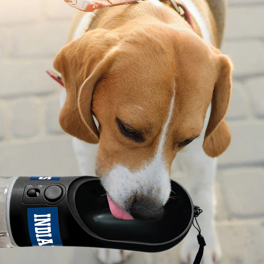 Pets First Indianapolis Colts Portable Dog Water Bottle