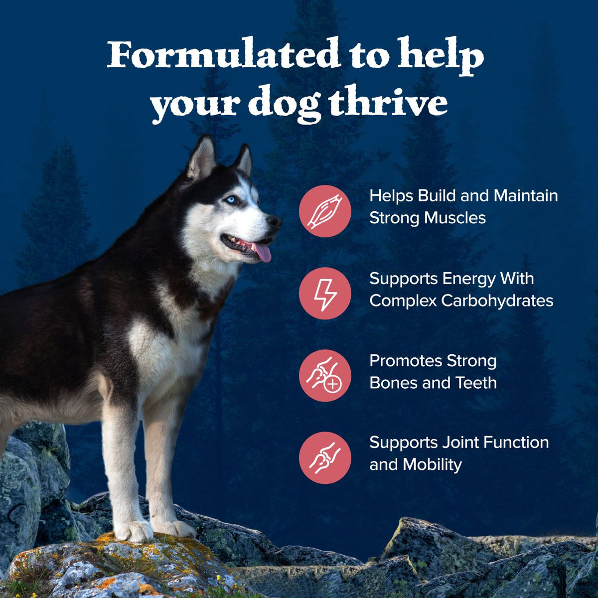 Blue Buffalo Wilderness Adult High Protein Natural Salmon & Wholesome Grains Dry Dog Food 24 lb