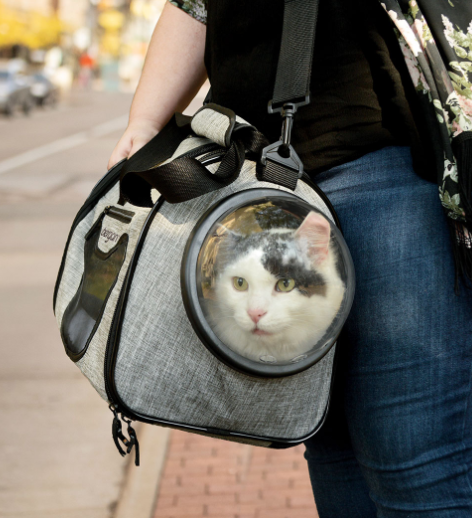 Bergan Cat Carrier with Window