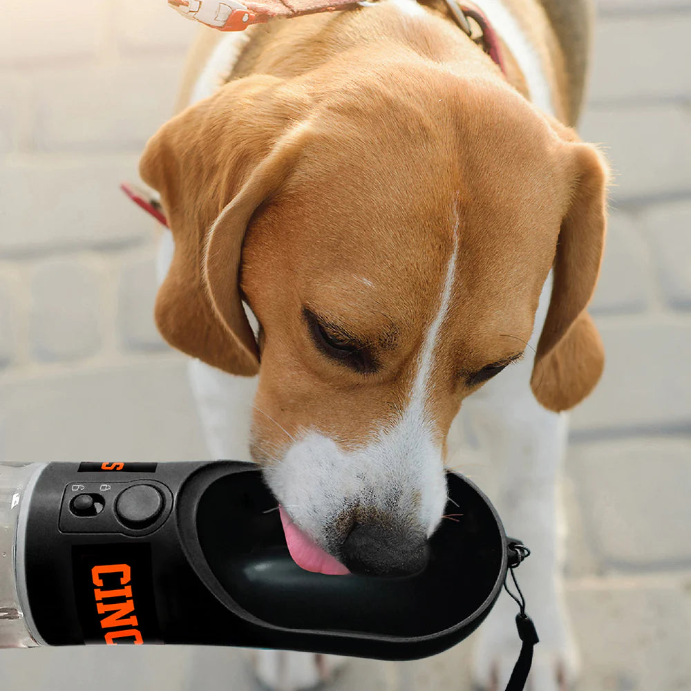 Pets First Cincinnati Bengals Portable Dog Water Bottle