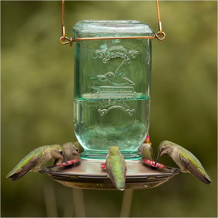 Perky Pet Mason Jar Glass Hummingbird Feeder 25 oz