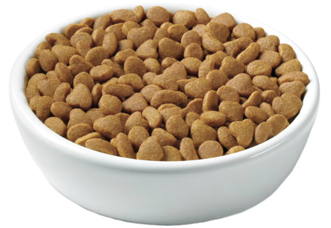 Purina Pro Plan Adult Sensitive Skin & Stomach Lamb & Rice Formula Dry Cat Food