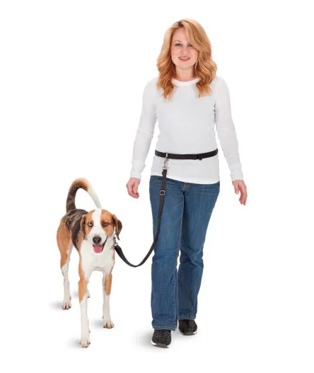 PetSafe Hands Free Leash