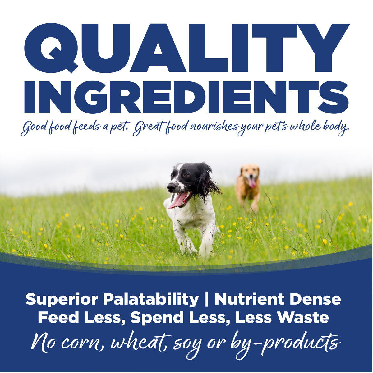 Nutrisource Trout & Rice Recipe Dry Dog Food 26 lb