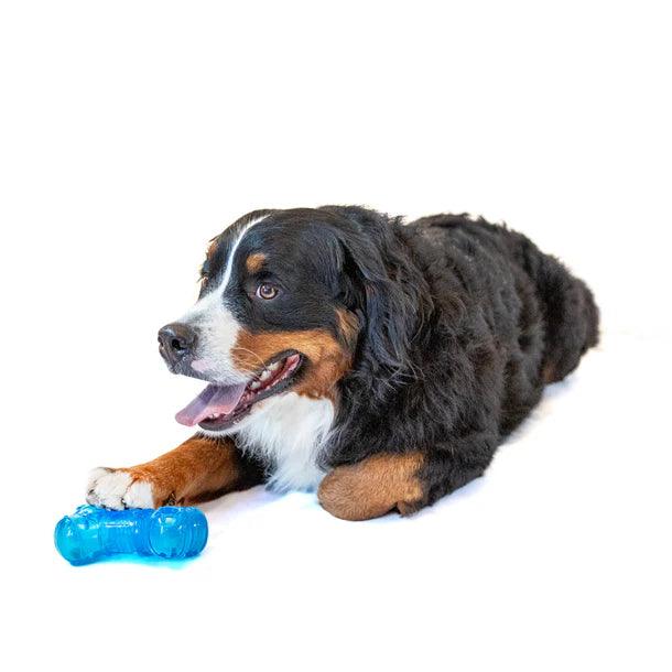 Guru No Begging Bone Treat Dispensing Dog Toy