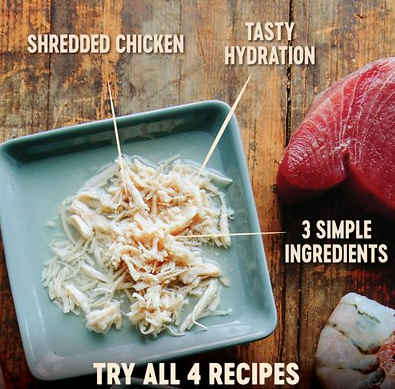 Wellness CORE Simply Shreds Grain-Free Chicken Wet Cat Food Topper
