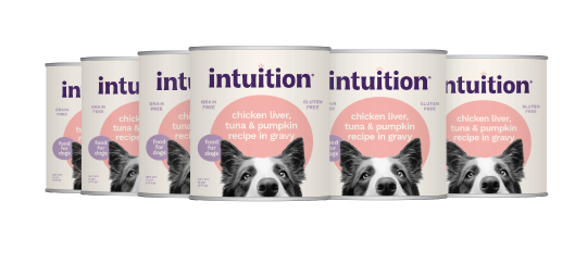 Intuition Chicken Liver, Tuna & Pumpkin Recipe in Gravy Grain-Free Canned Dog Food