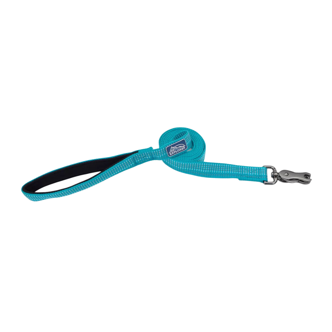 Coastal Pet Products K9 Explorer Brights Reflective Dog Leash- Ocean 1/2 in x 6 ft