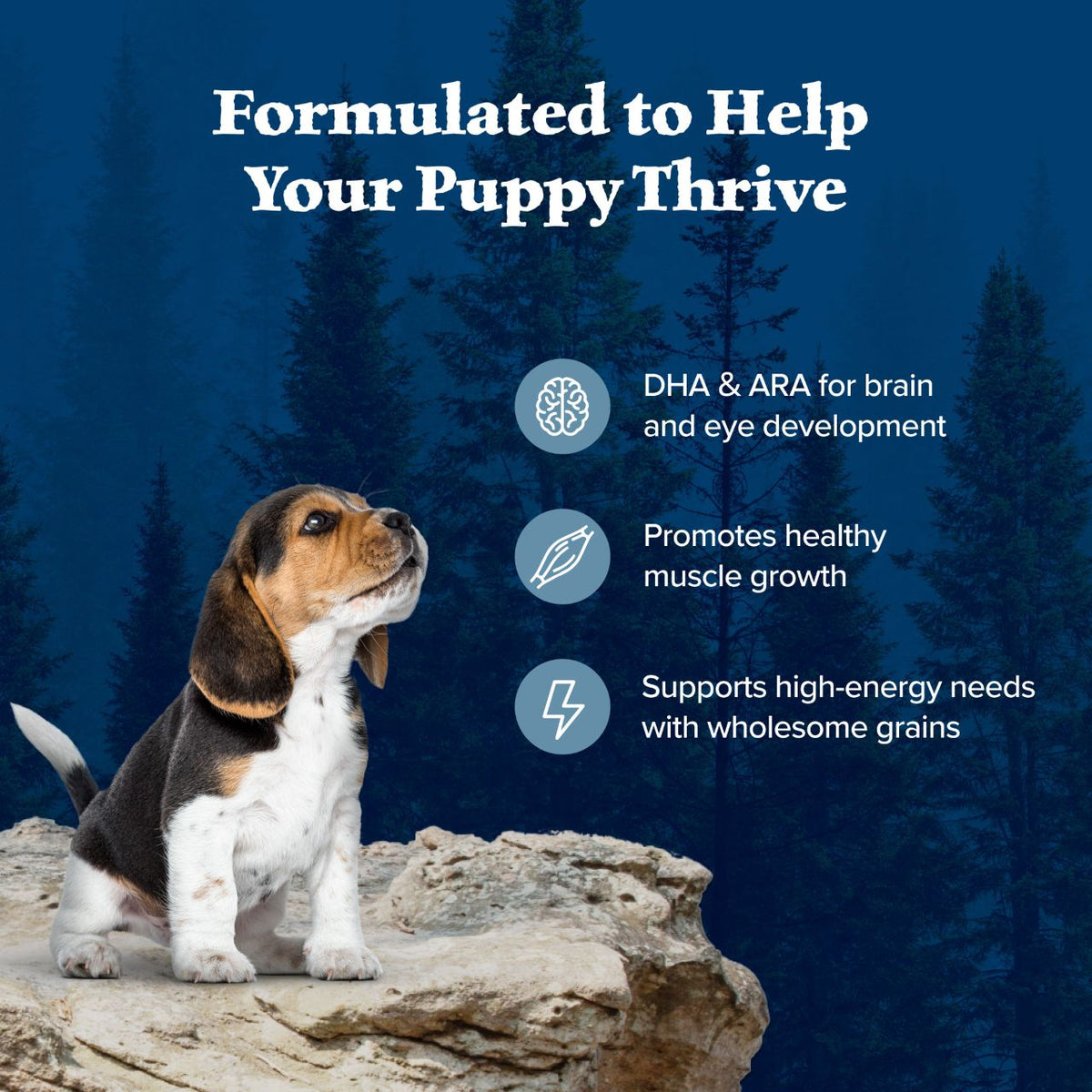 Blue Buffalo Wilderness Nature's Evolutionary Diet with Chicken & Wholesome Grains Puppy Recipe Dry Dog Food 13 lb