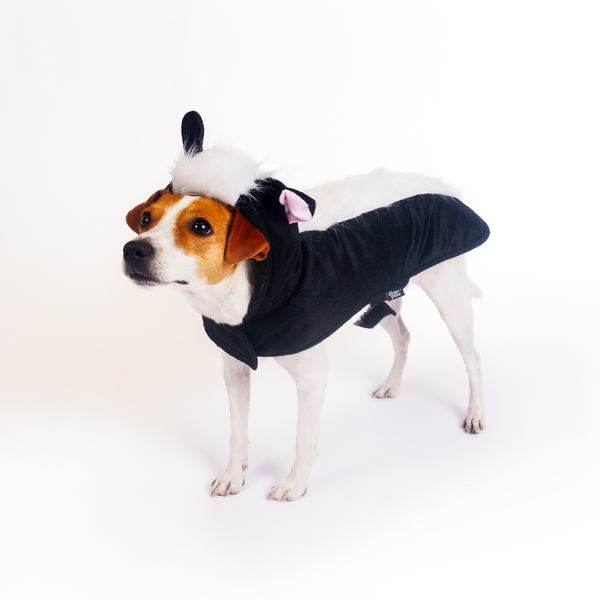 Silverpaw Halloween Skunk Pet Costume