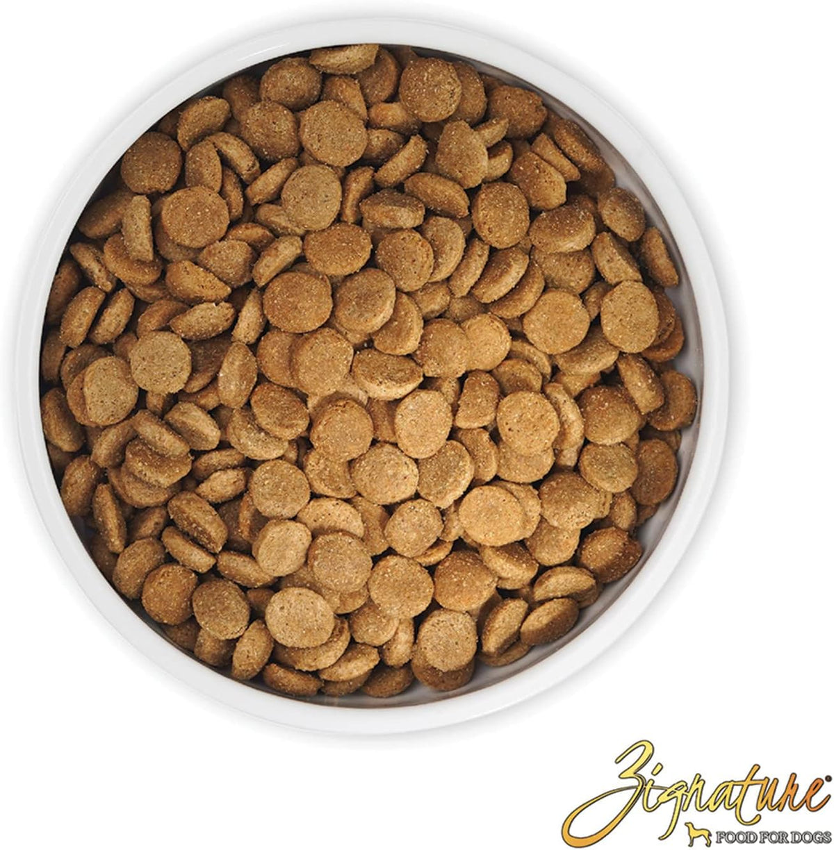 Zignature Catfish Limited Ingredient Formula Grain-Free Dry Dog Food 25 lb
