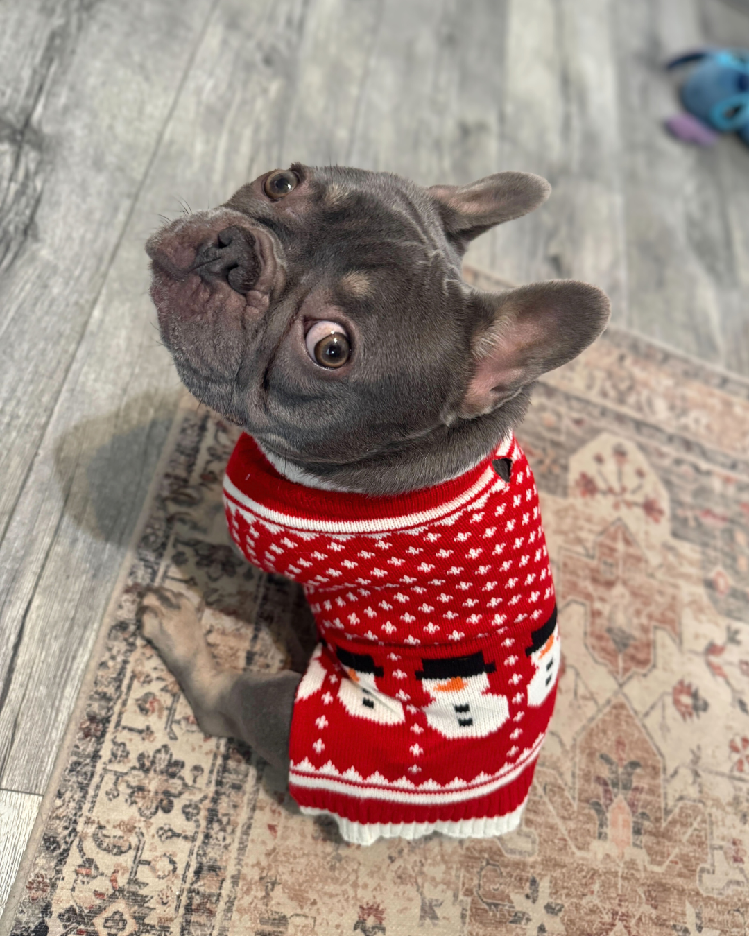 Pet Obsession Holiday Snowmen Pet Sweater