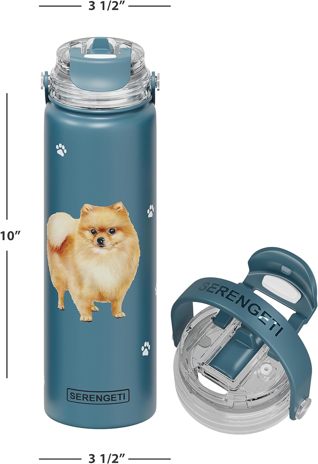 E & S Imports Serengeti Pomeranian Stainless Steel Water Bottle 24 oz