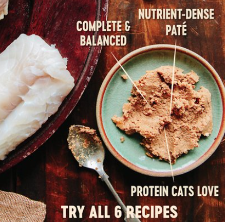 Wellness Core Natural Chicken, Turkey, & Chicken Liver Classic Pate Grain