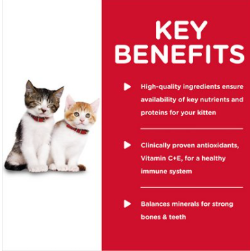 Hill's Science Diet Kitten Savory Turkey Entree Canned Cat Food