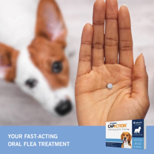 Petarmor CapAction Oral Flea Treatment Tablets for Dogs 2-25lbs 6 ct