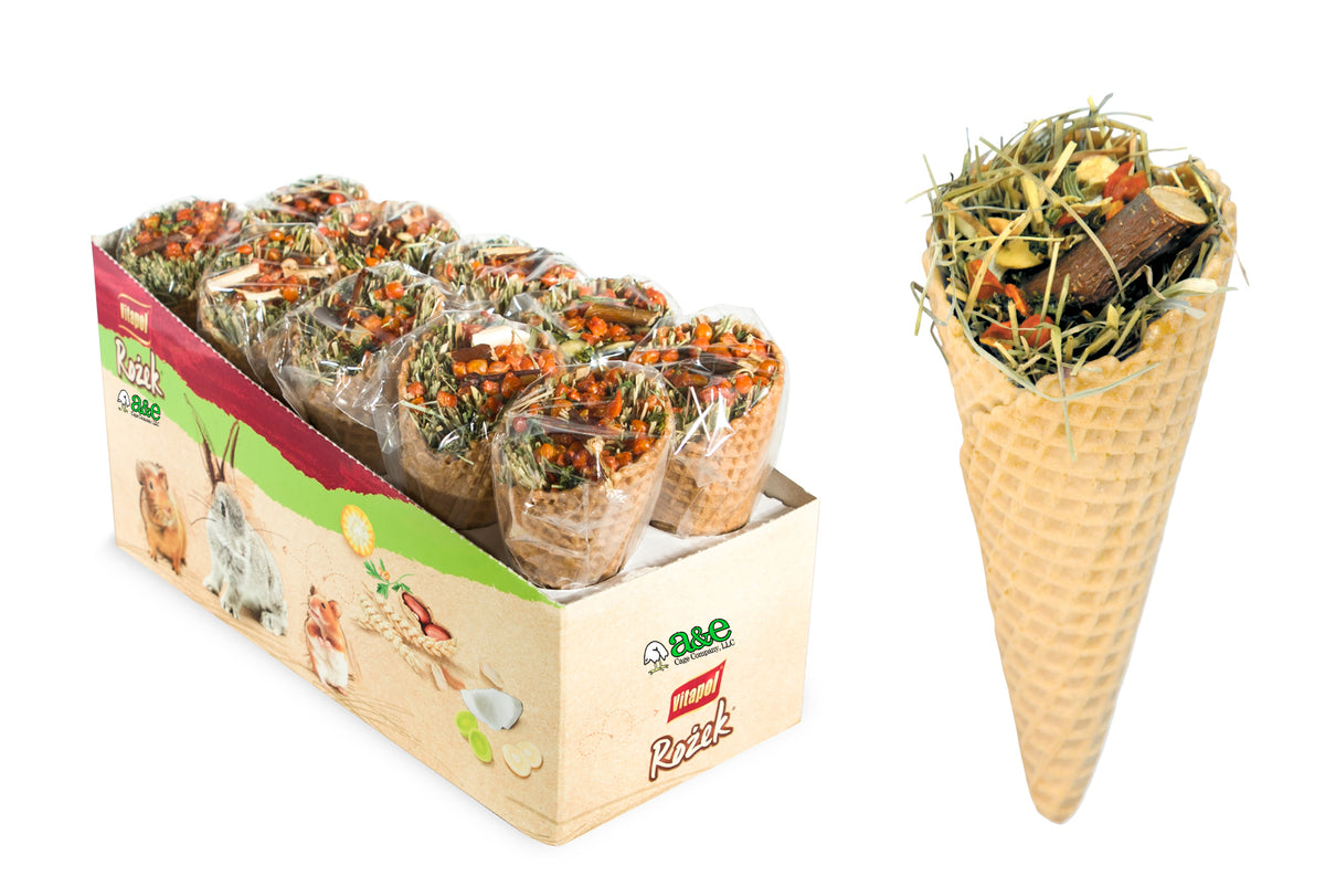 A&E Waffle Cone Treat Single each