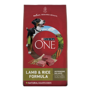 Purina ONE Lamb & Rice Formula Adult Dog Food
