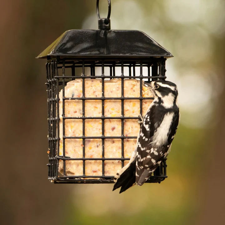 Nature's Way Double Suet Cake Cage Wild Bird Feeder with Roof