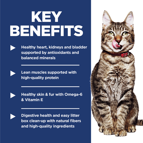 Hill's Science Diet Adult 7+ Indoor Chicken Recipe Dry Cat Food