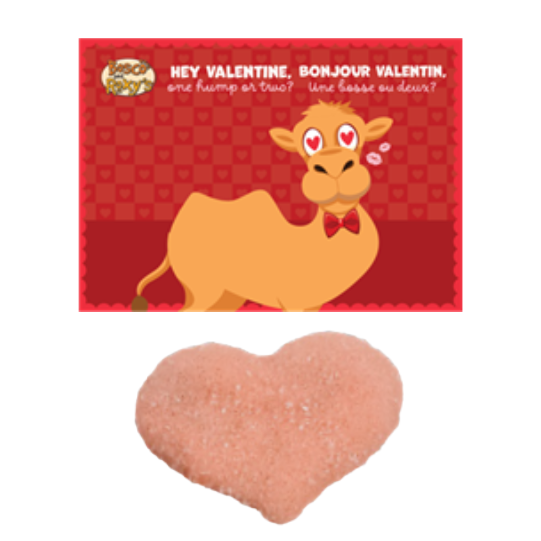 Bosco & Roxy Fur Ever Valentine's Day Card Dog Treat Cookie