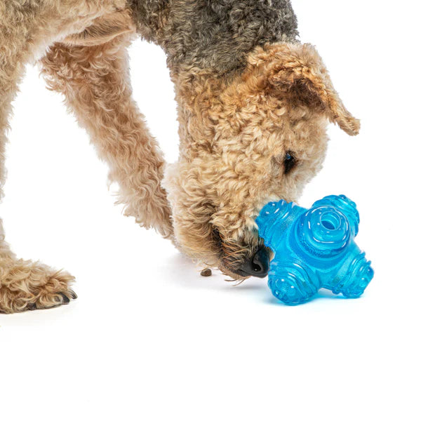 Guru Puzzle Jack Treat Dispensing Dog Toy