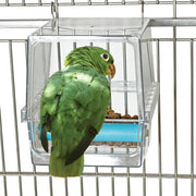 Caitec Seed Corral Feeder