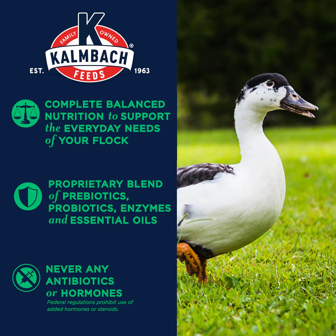 Kalmbach Feeds All Natural 16% Flock Maintainer Mini Pellets Poultry Feed 50 lb