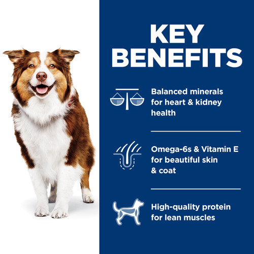 Hill's Science Diet Senior 7+ Chicken Meal, Barley, & Brown Rice Recipe Dry Dog Food