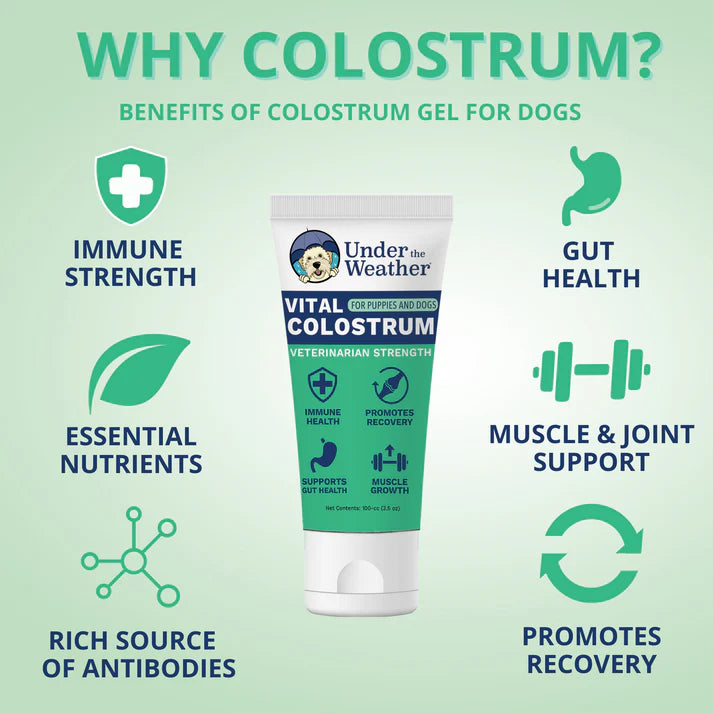 Under The Weather Vital Colostrum Gel for Dogs & Puppies 3.5 oz