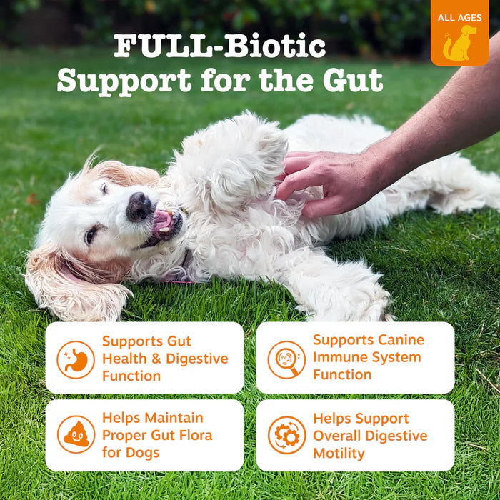 Zesty Paws Vet Strength Pre, Post & Probiotics Gut Health Soft Chews for Dogs 90 ct