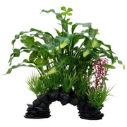 Fluval Curly Aponogeton Mix Aquarium Plant 10 in