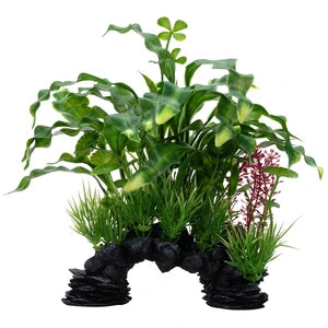 Fluval Curly Aponogeton Mix Aquarium Plant 10 in