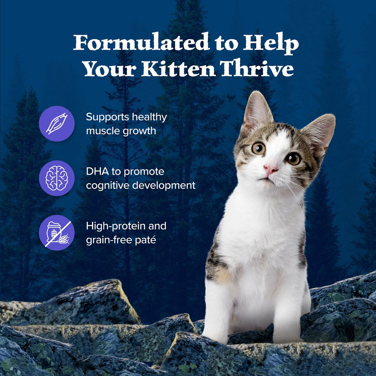 Blue Buffalo Wilderness Kitten Recipe Canned Cat Food