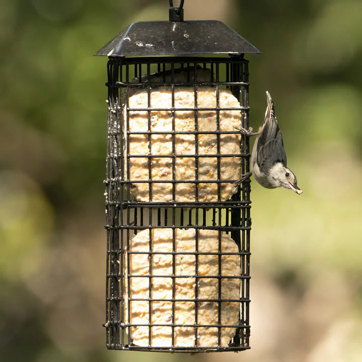 Nature's Way Four Suet Cake Cage Wild Bird Feeder with Roof
