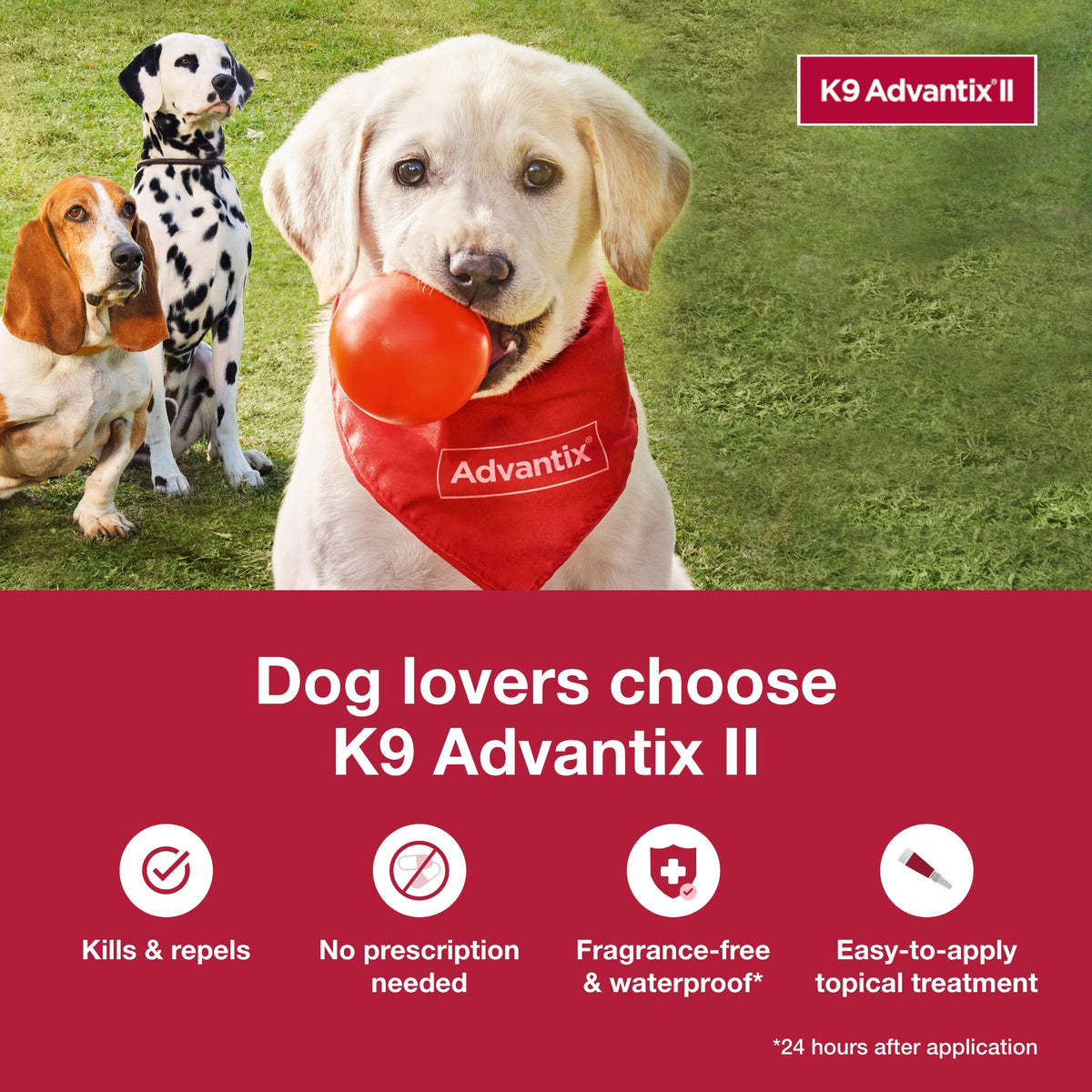 K9 Advantix II Topical Flea & Tick Treatment for Dogs up to 10 lbs
