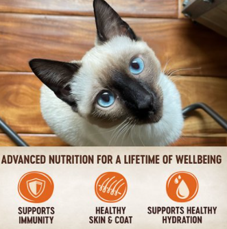 Wellness Core Signature Selects Shredded Bonesless Chicken & Chicken Liver Entree In Sauce Grain-Free Canned Cat Food