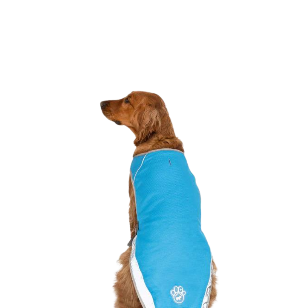 Canada Pooch Chill Seeker Cooling Pet Vest