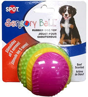 Spot Ethical Pet Beef Scented Sensory Ball Dog Toy 2.5 in