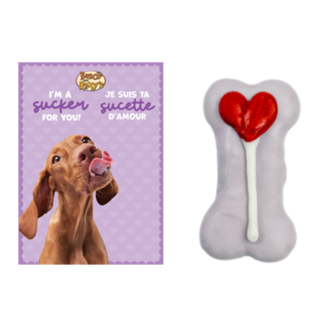 Bosco & Roxy Fur Ever Valentine's Day Card Dog Treat Cookie