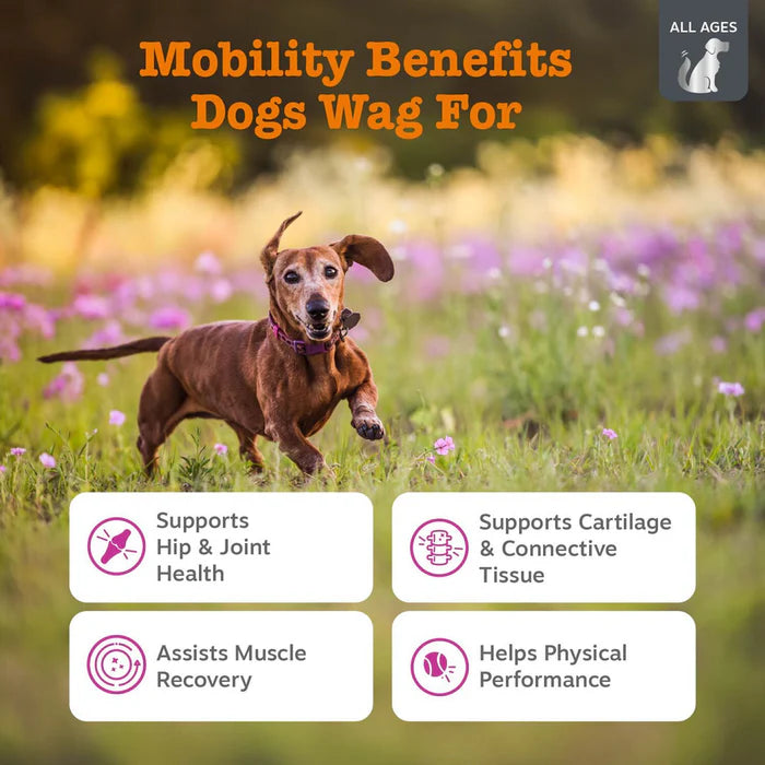 Zesty Paws Vet Strength Hip & Joint Bites Mobility Soft Chews for Dogs 90 ct