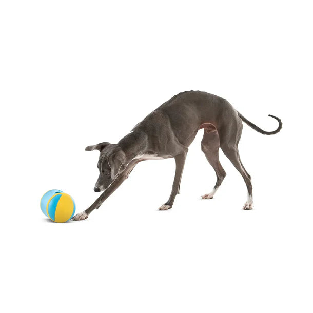 Guru Rock N' Treat Dispensing Dog Toy