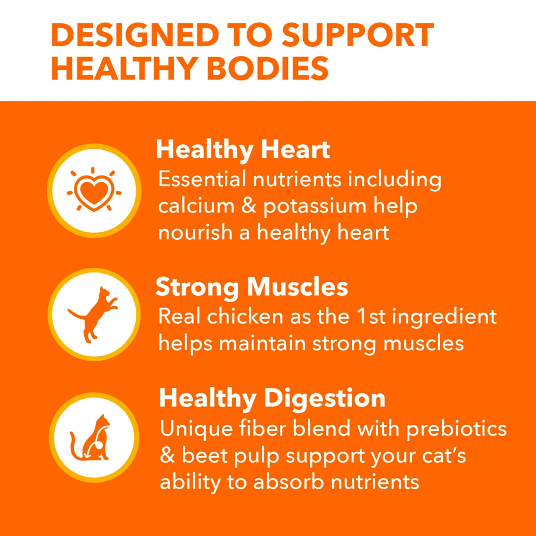 Iams Proactive Health Healthy Adult Original Dry Cat Food