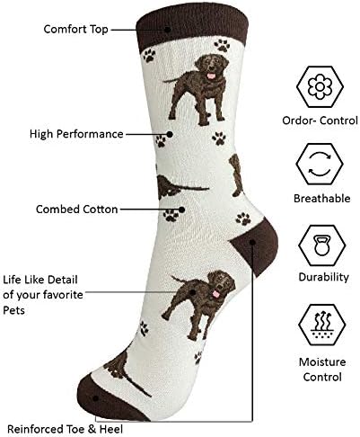 E & S Imports Pet Lover Socks Chocolate Labrador Dog, Unisex, One Size Fits Most