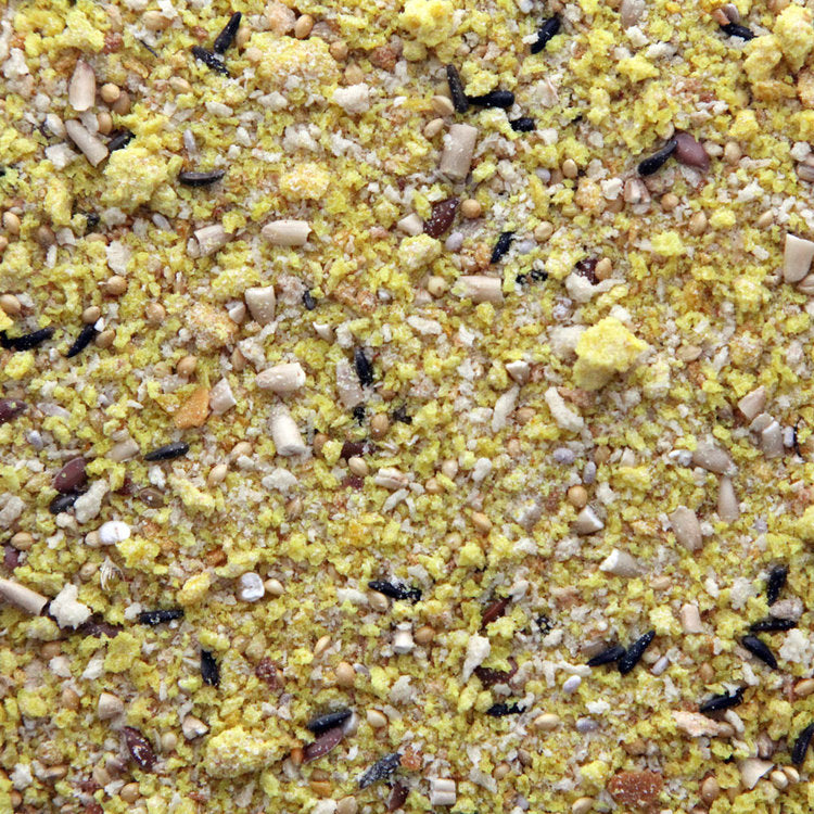 Higgins Protein Egg Food for all Birds 5 oz