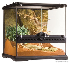 Exo Terra Glass Terrarium Reptile Habitat, 12"x12"x12"